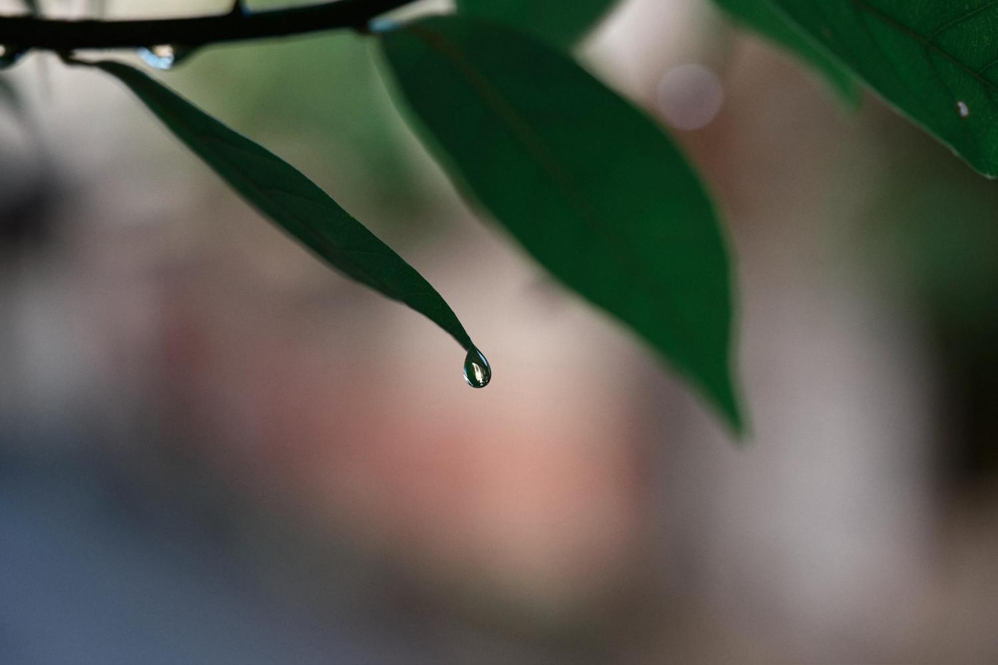 Appartamento Unsui 武雄蓬莱町 雲水 Esterno foto