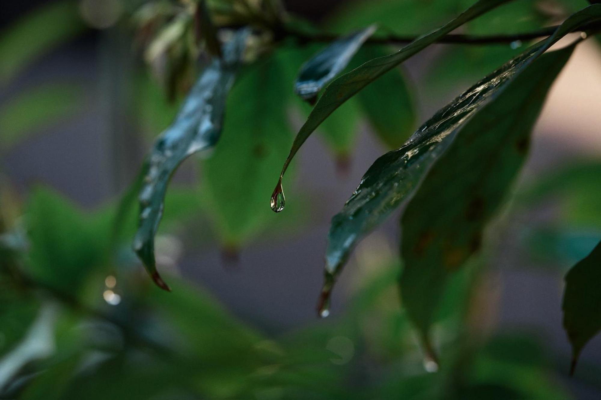 Appartamento Unsui 武雄蓬莱町 雲水 Esterno foto